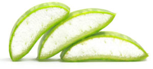 aloe-vera-planta-milagrosa-2