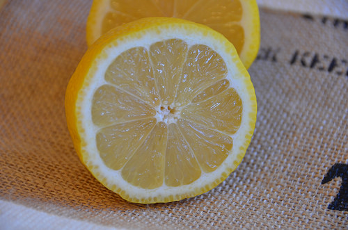 Fotografía: ROB_6545 (Licencia)