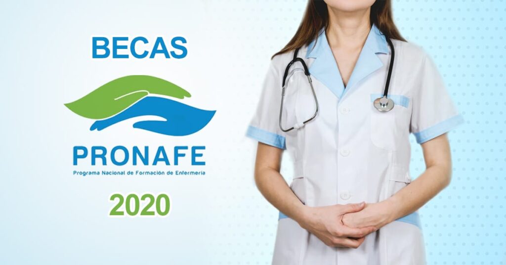 Becas Pronafe